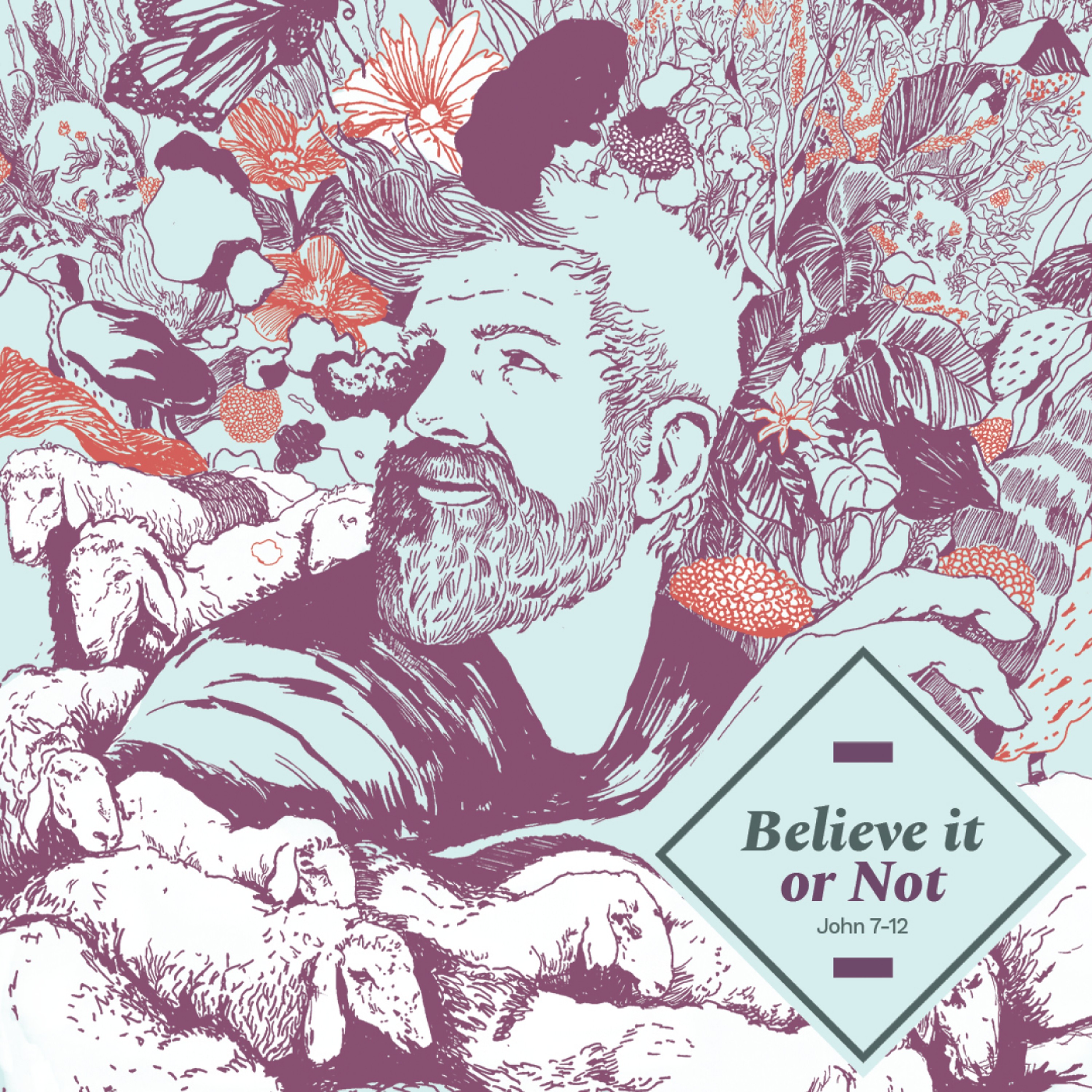 How to See the Glory of God - Believe it or Not: John 7-12
