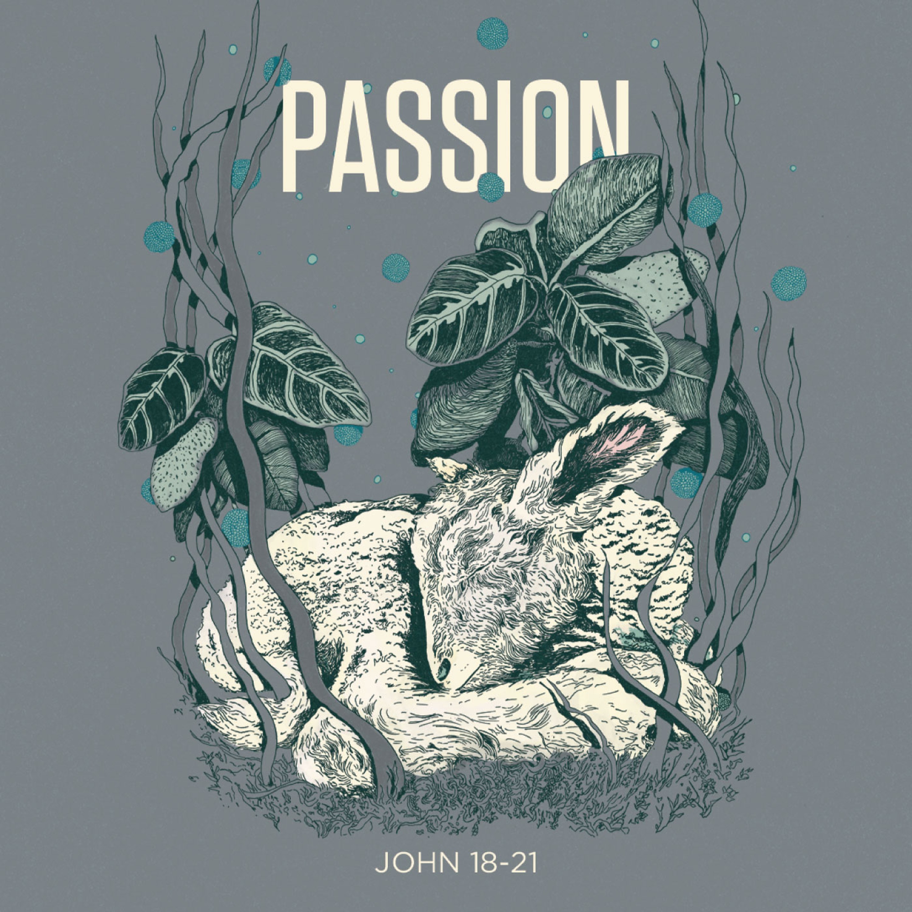 He Saw And Believed - Passion: John 18-21 episode artwork