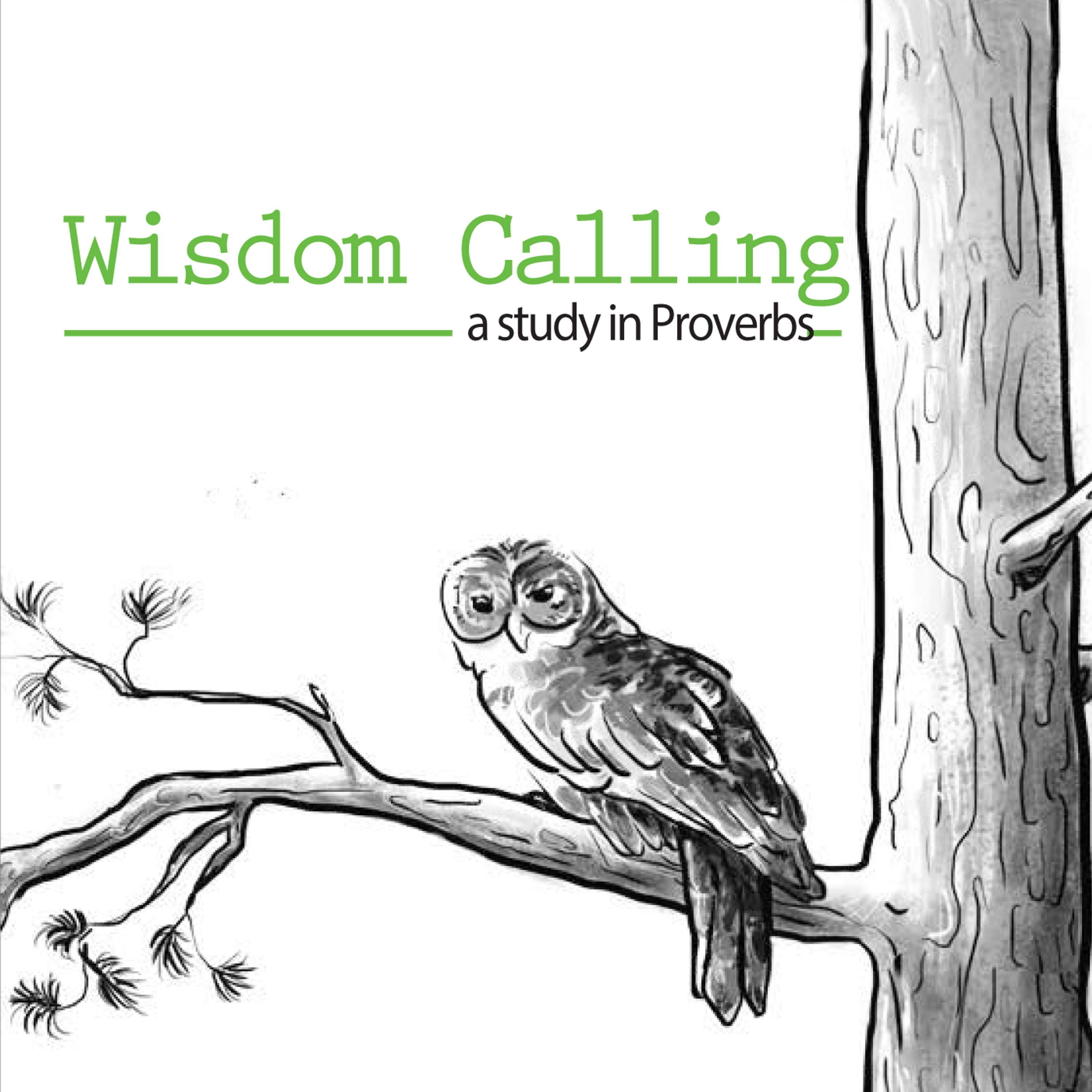 Proverbs on Emotion | Proverbs 14:13 episode artwork