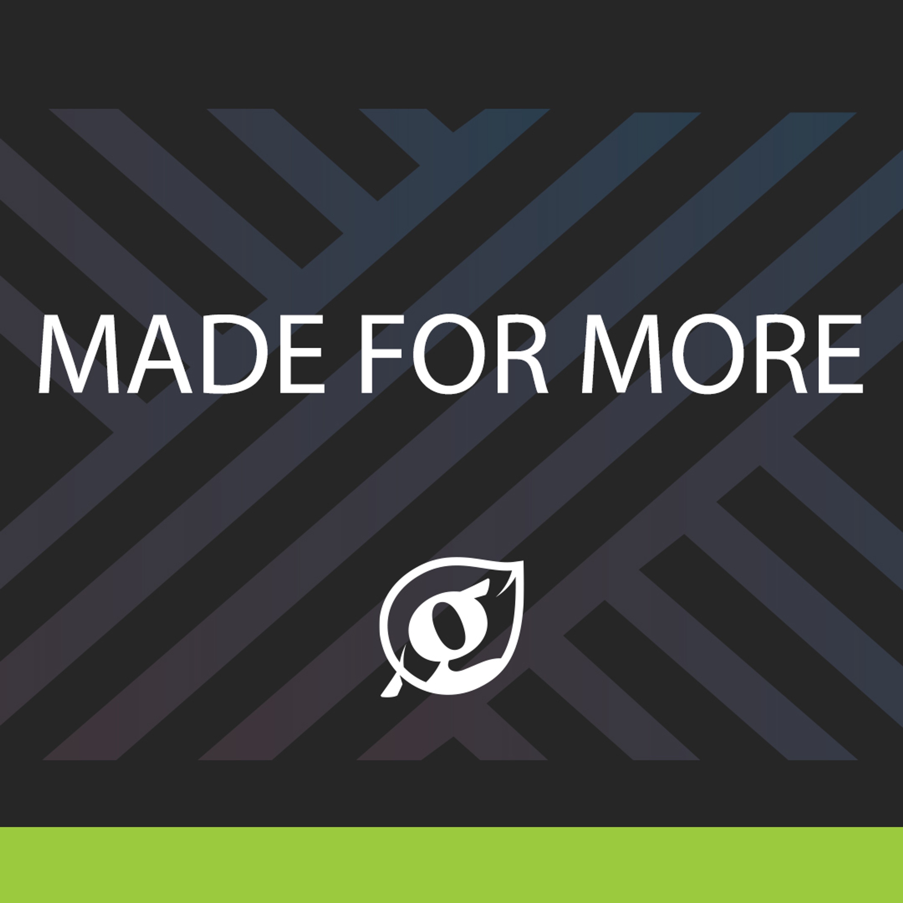 Made For More - Part 2 episode artwork