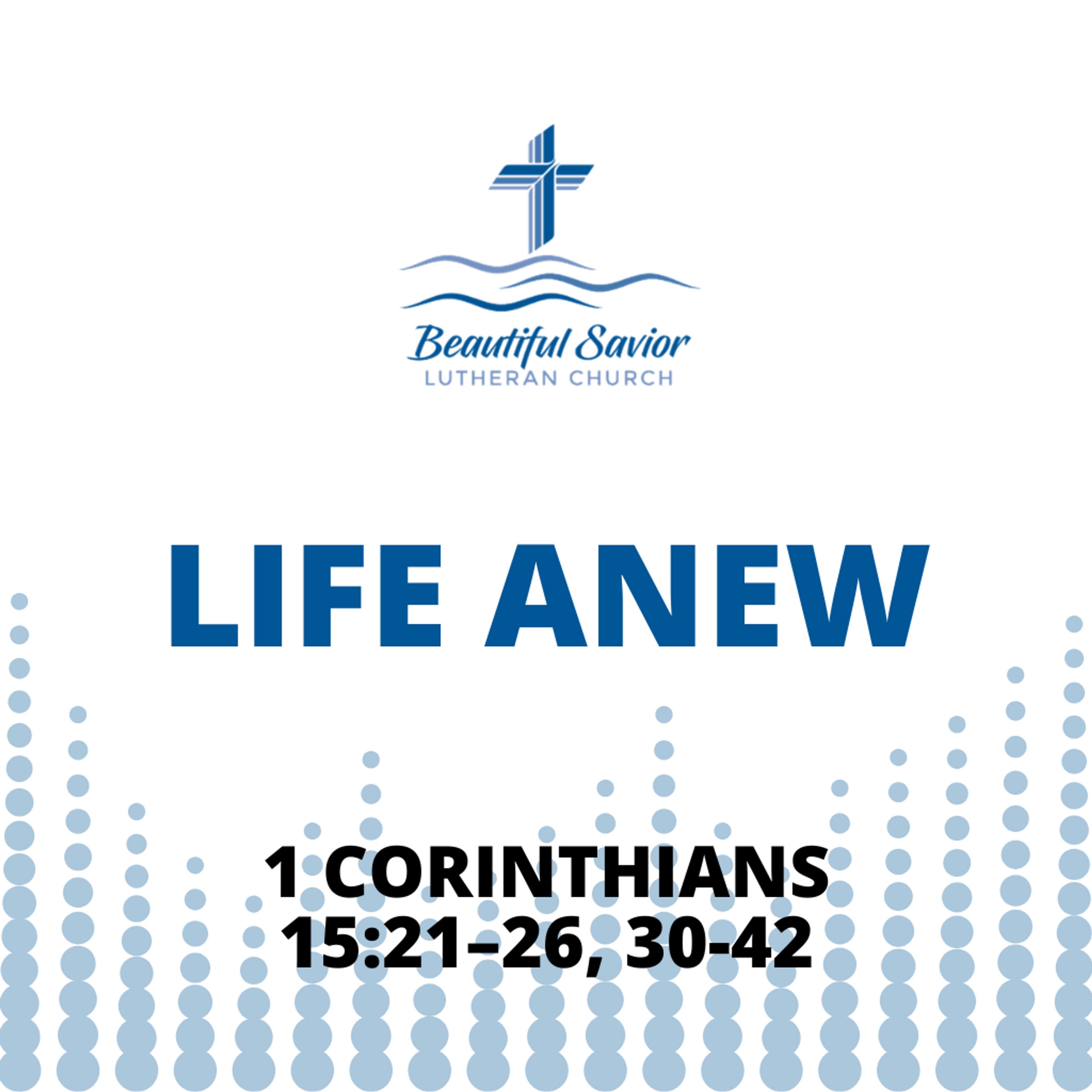 Life Anew episode artwork