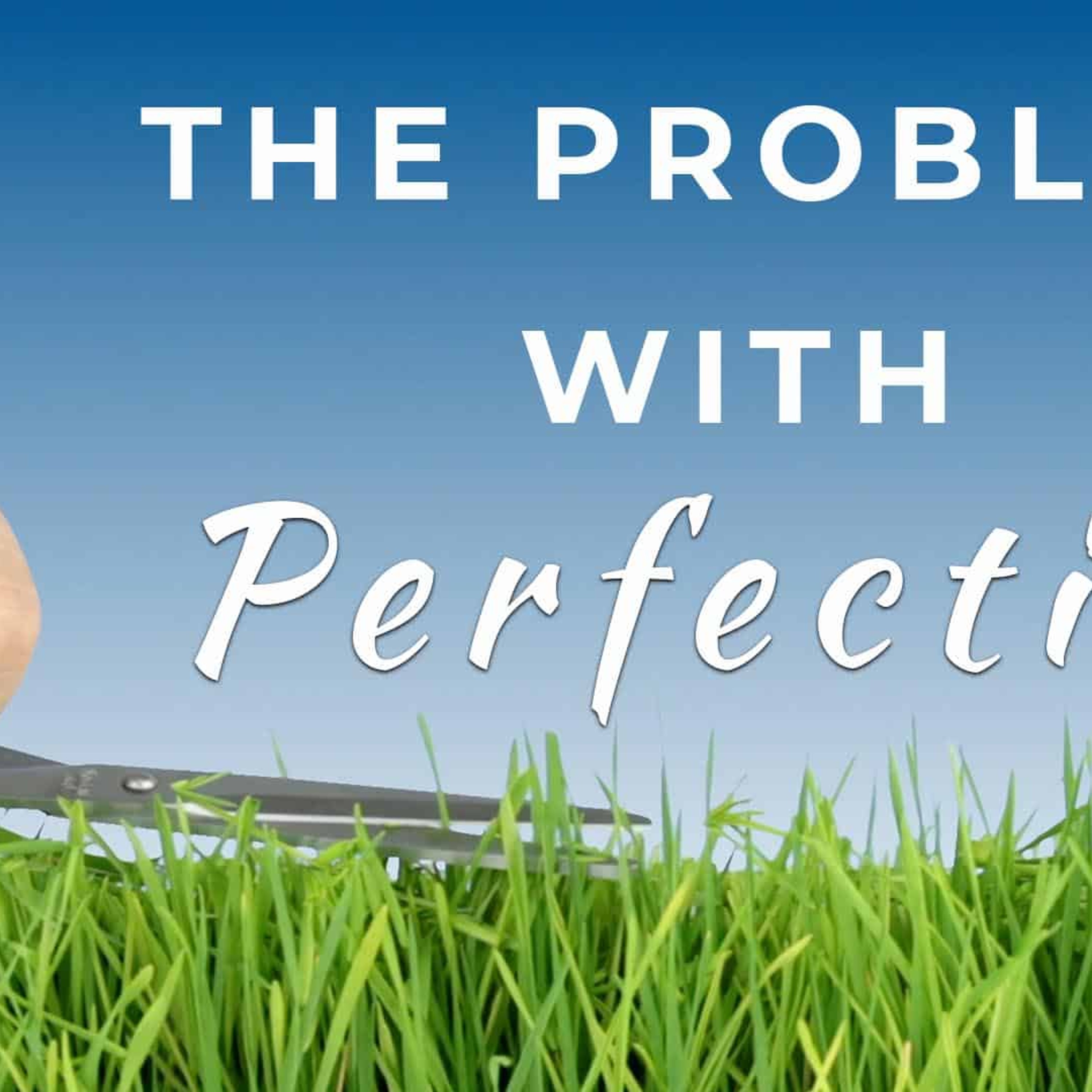 The Problem With Perfection episode artwork
