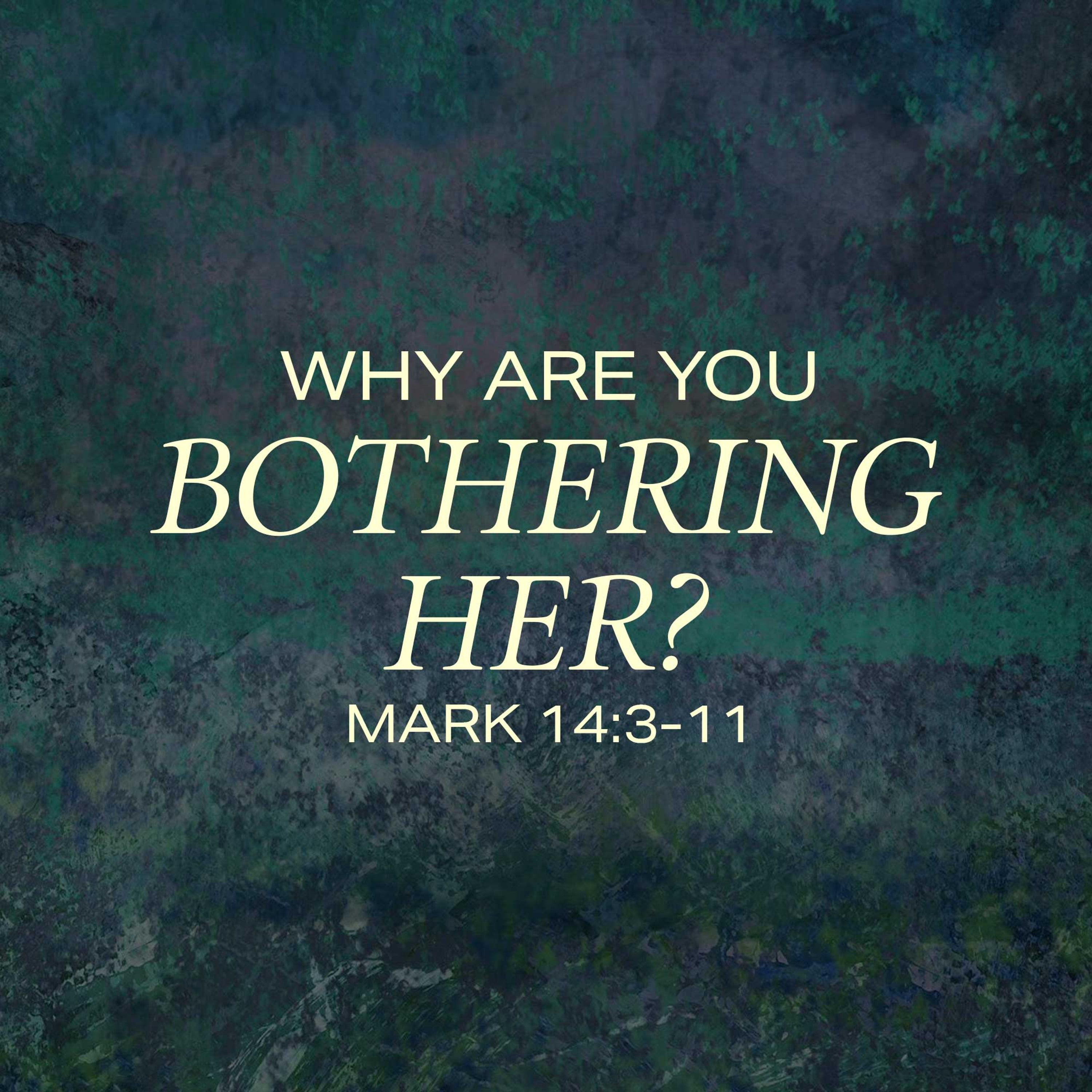 Why Are You Bothering Her? - Bryan Lee episode artwork