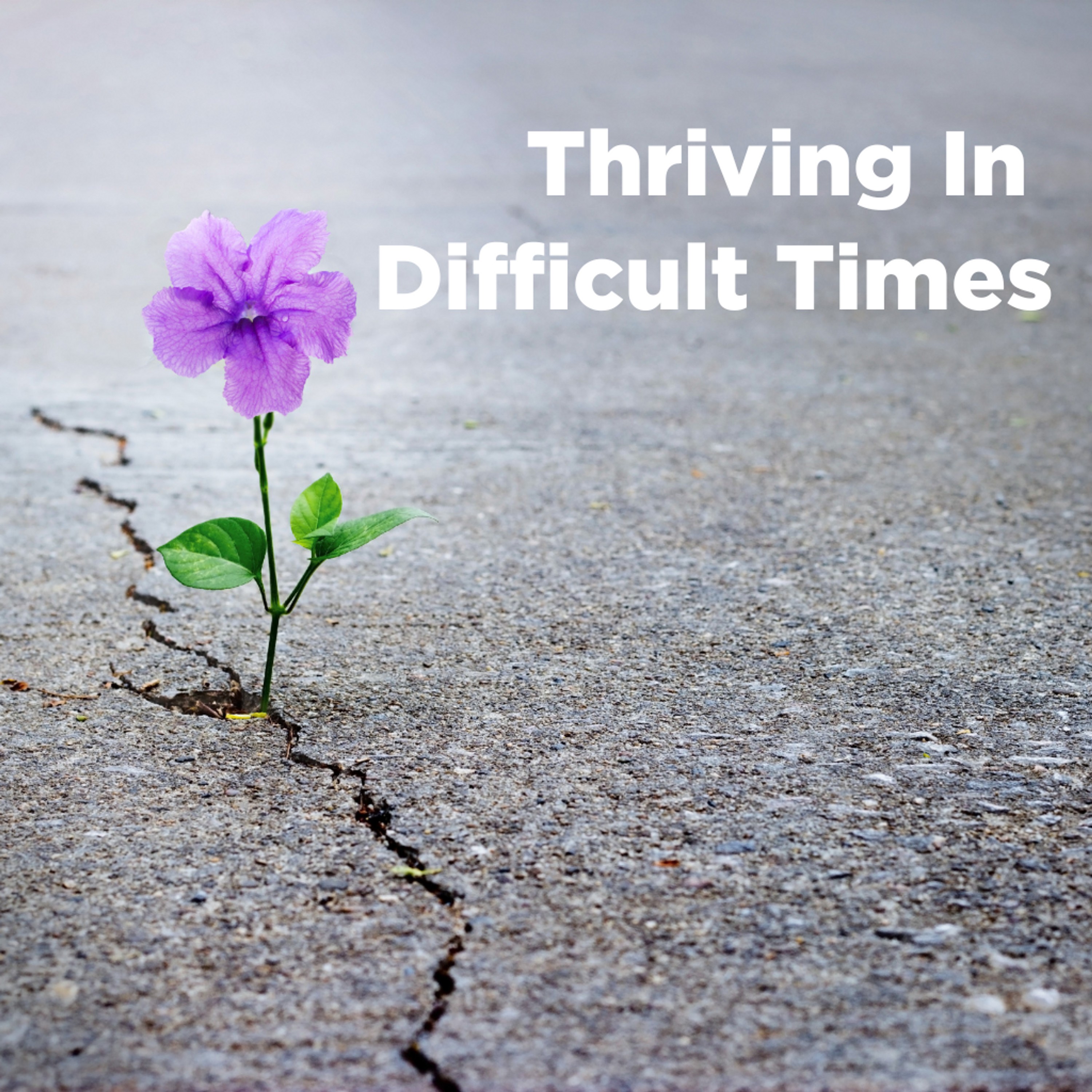 Thriving In Difficult Times episode artwork