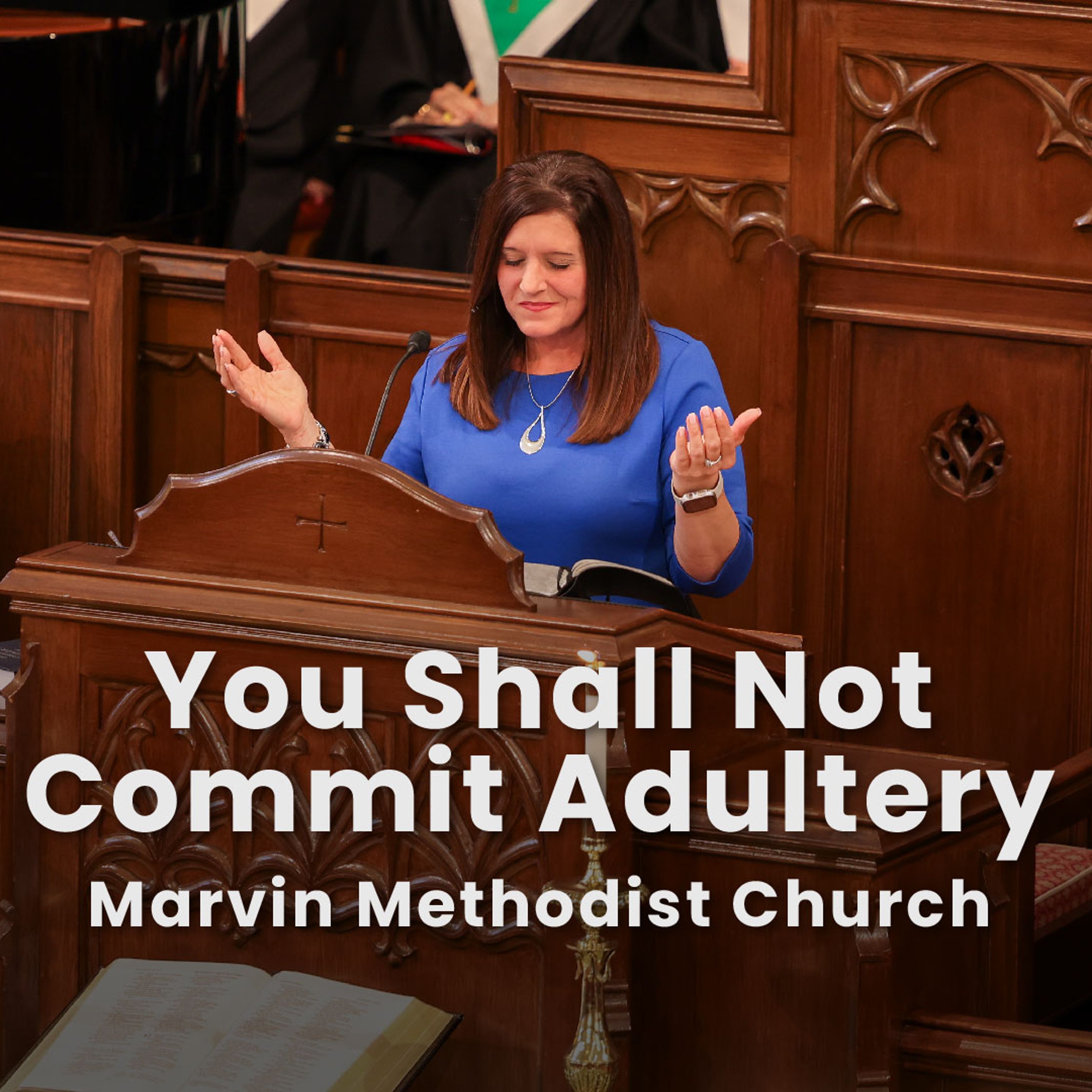 You Shall Not Commit Adultery episode artwork