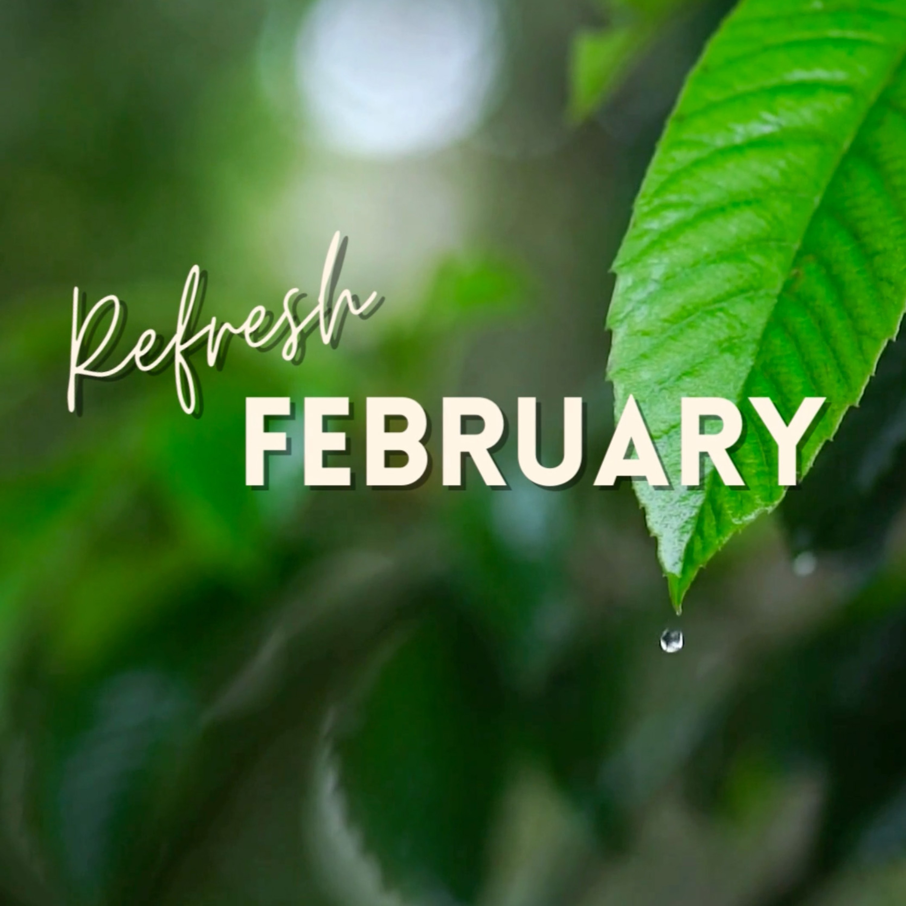 Refresh February - Week 1 episode artwork