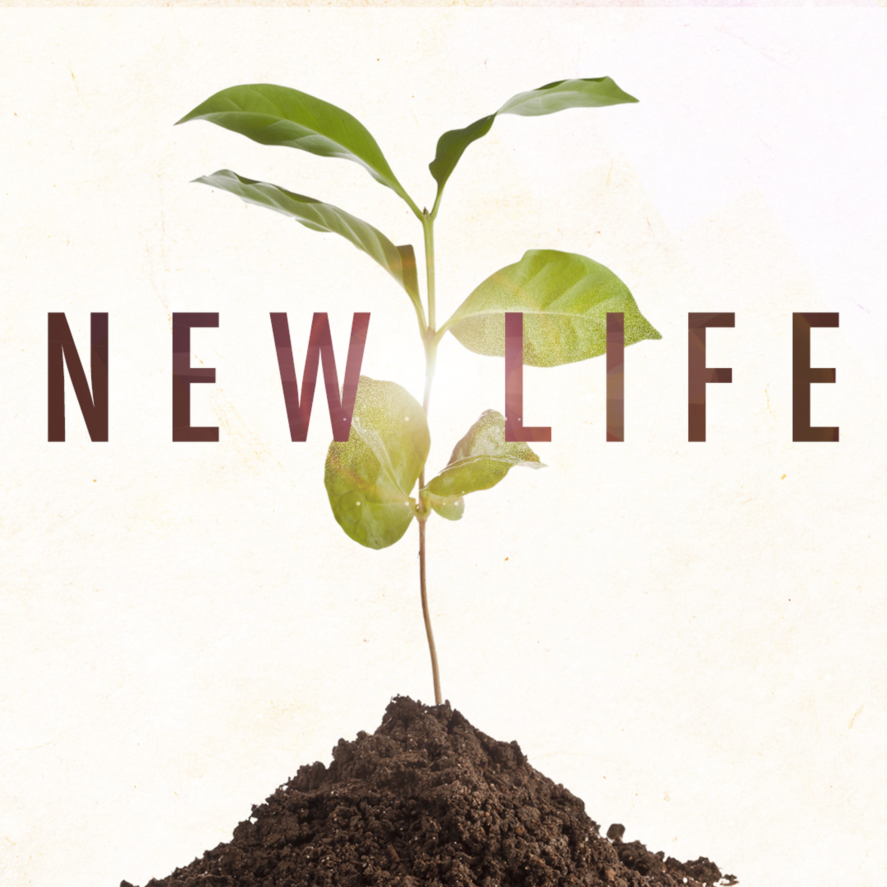 New Life episode artwork