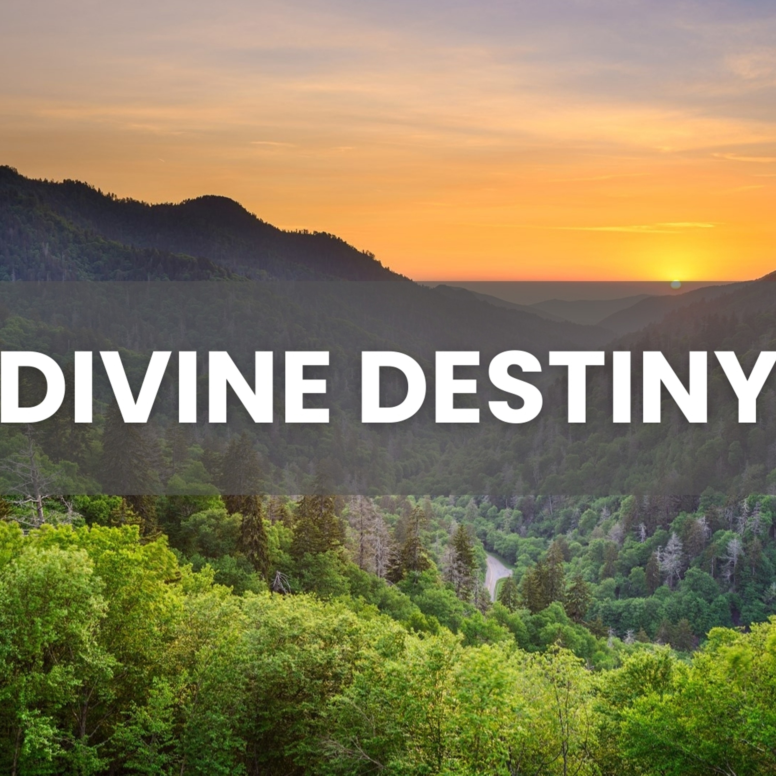 Divine Destiny | 07.13.25 episode artwork