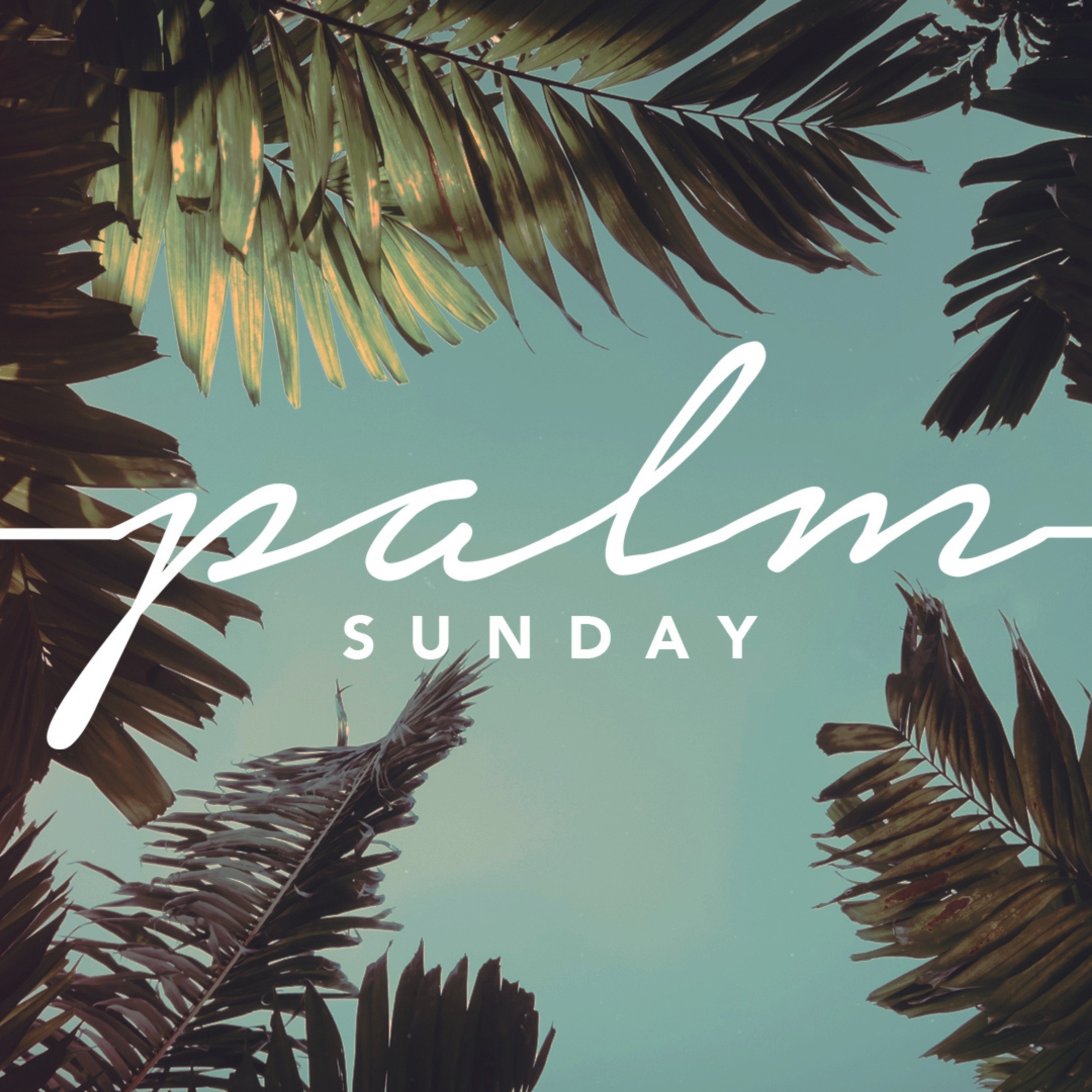 Who Do You Say He Is? | Palm Sunday | 04.13.25 episode artwork