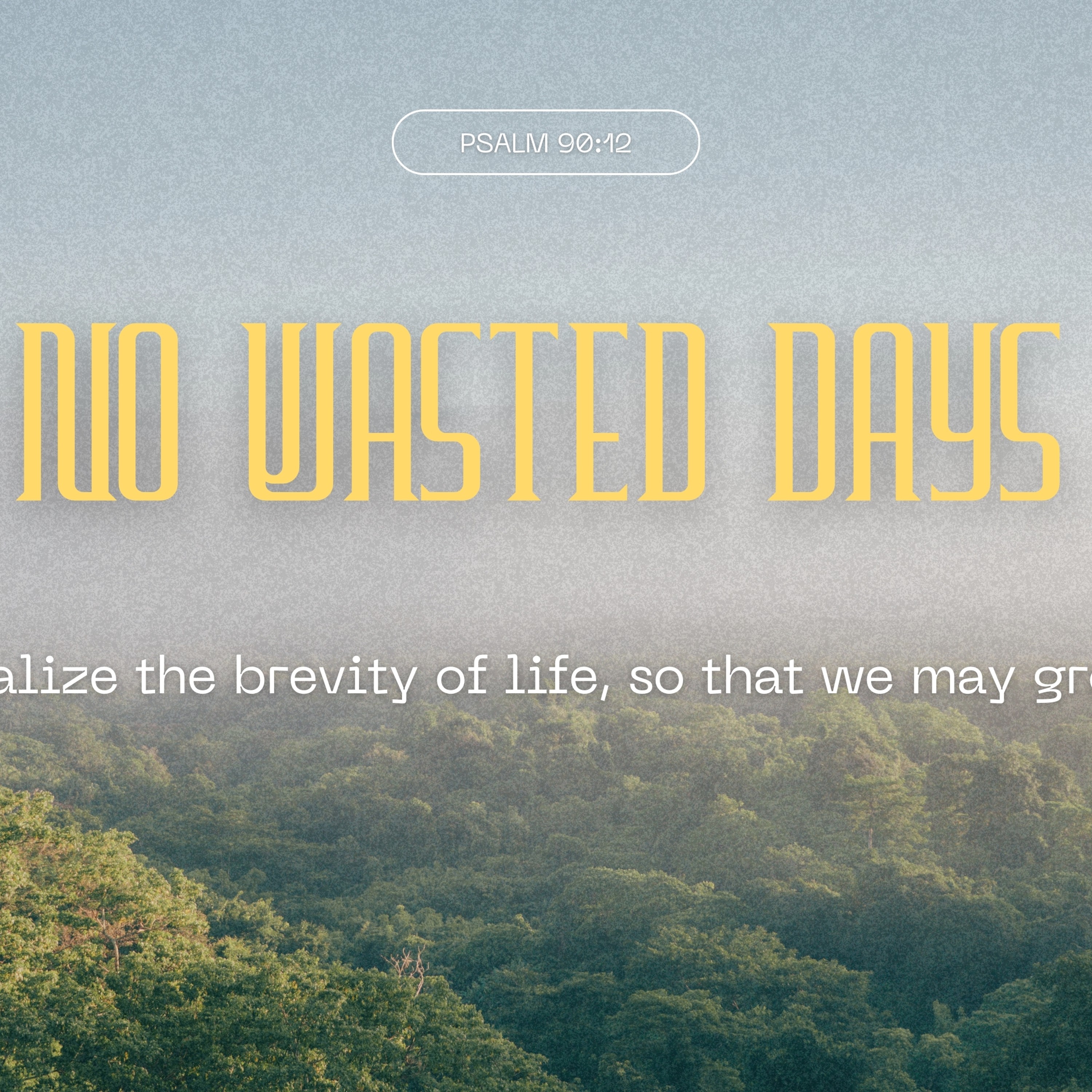 No Wasted Days | 3.16.25 episode artwork