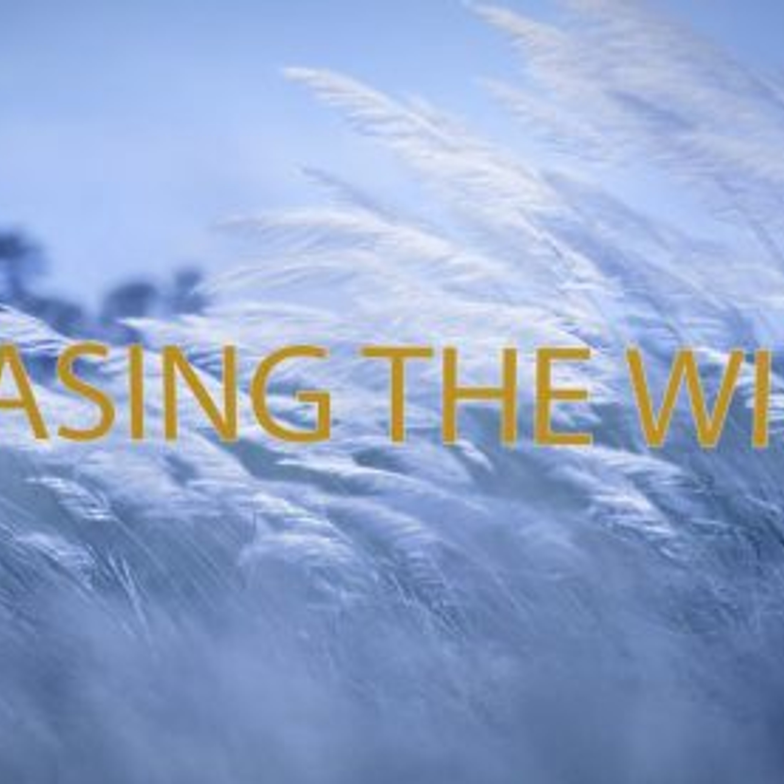 Chasing the Wind | A Meaningless Life episode artwork