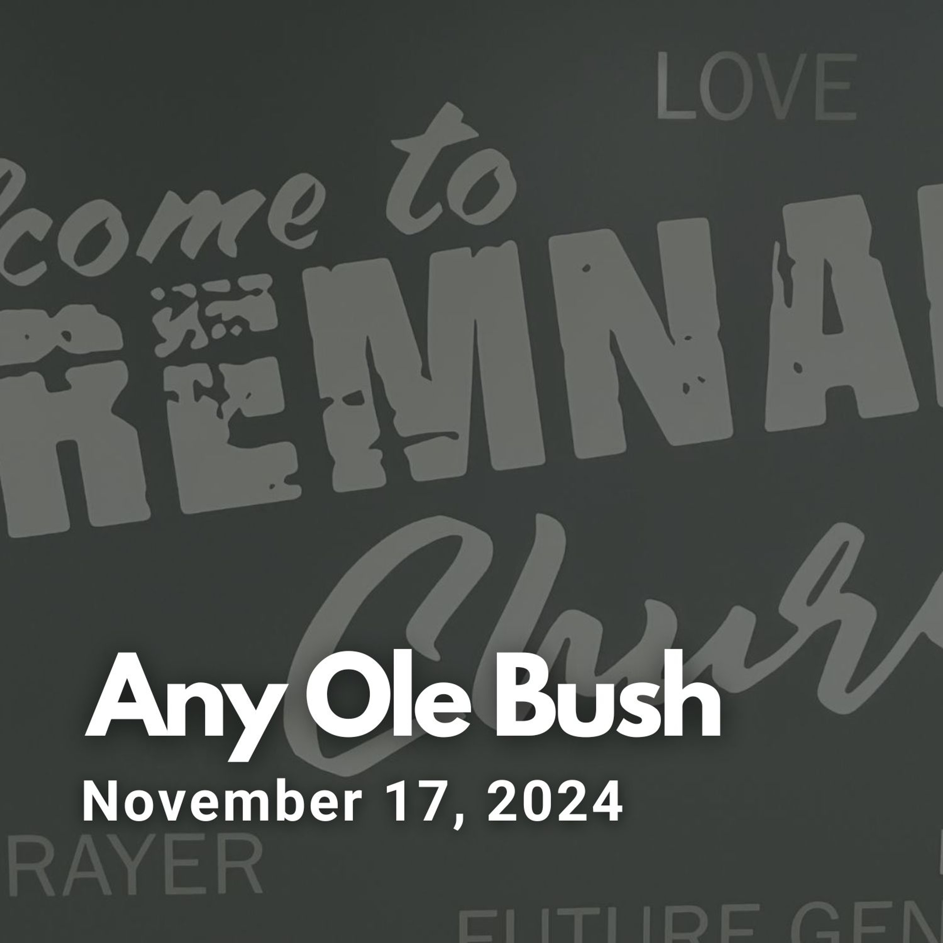 Any Ole Bush episode artwork