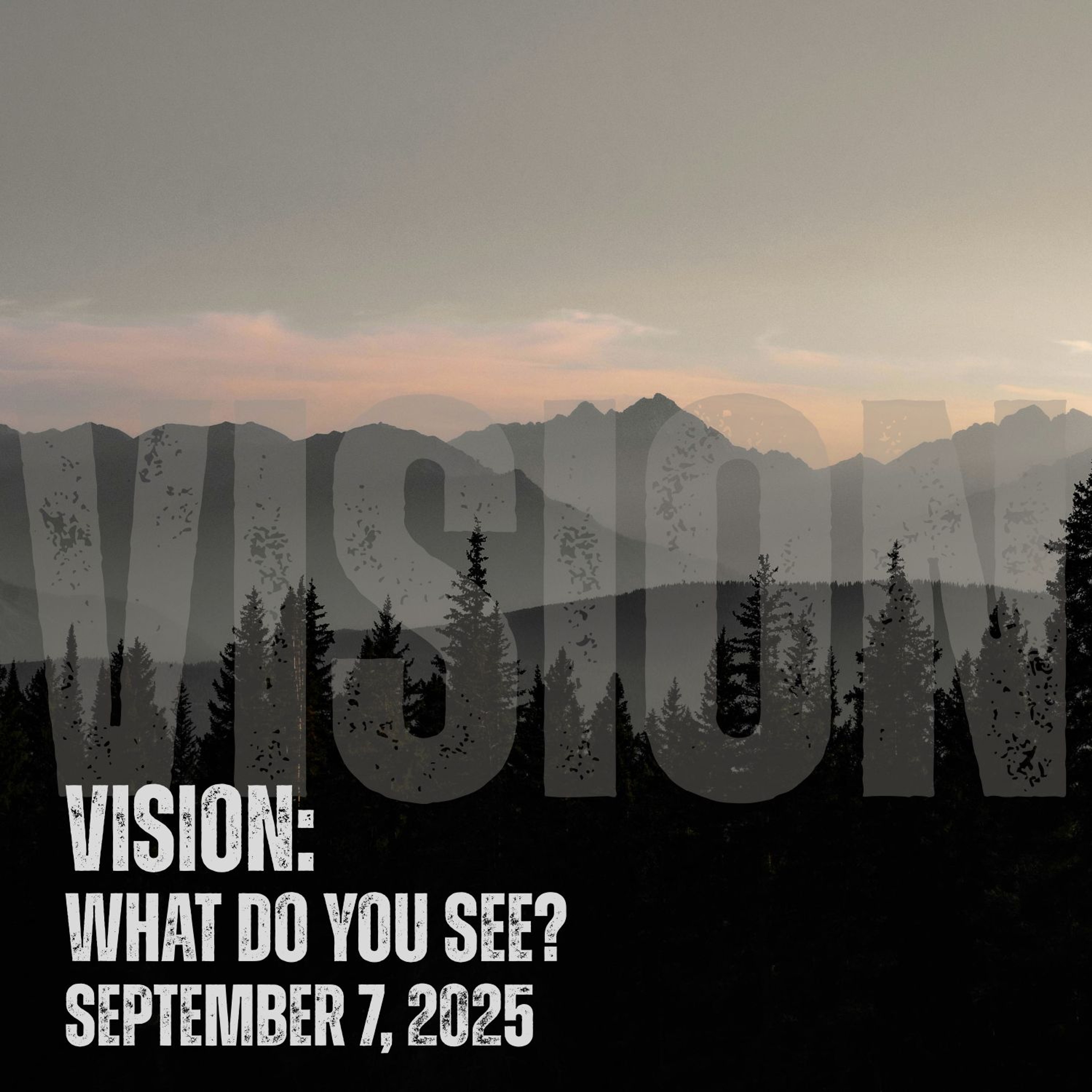 Vision: What Do You See? (Part 5) episode artwork