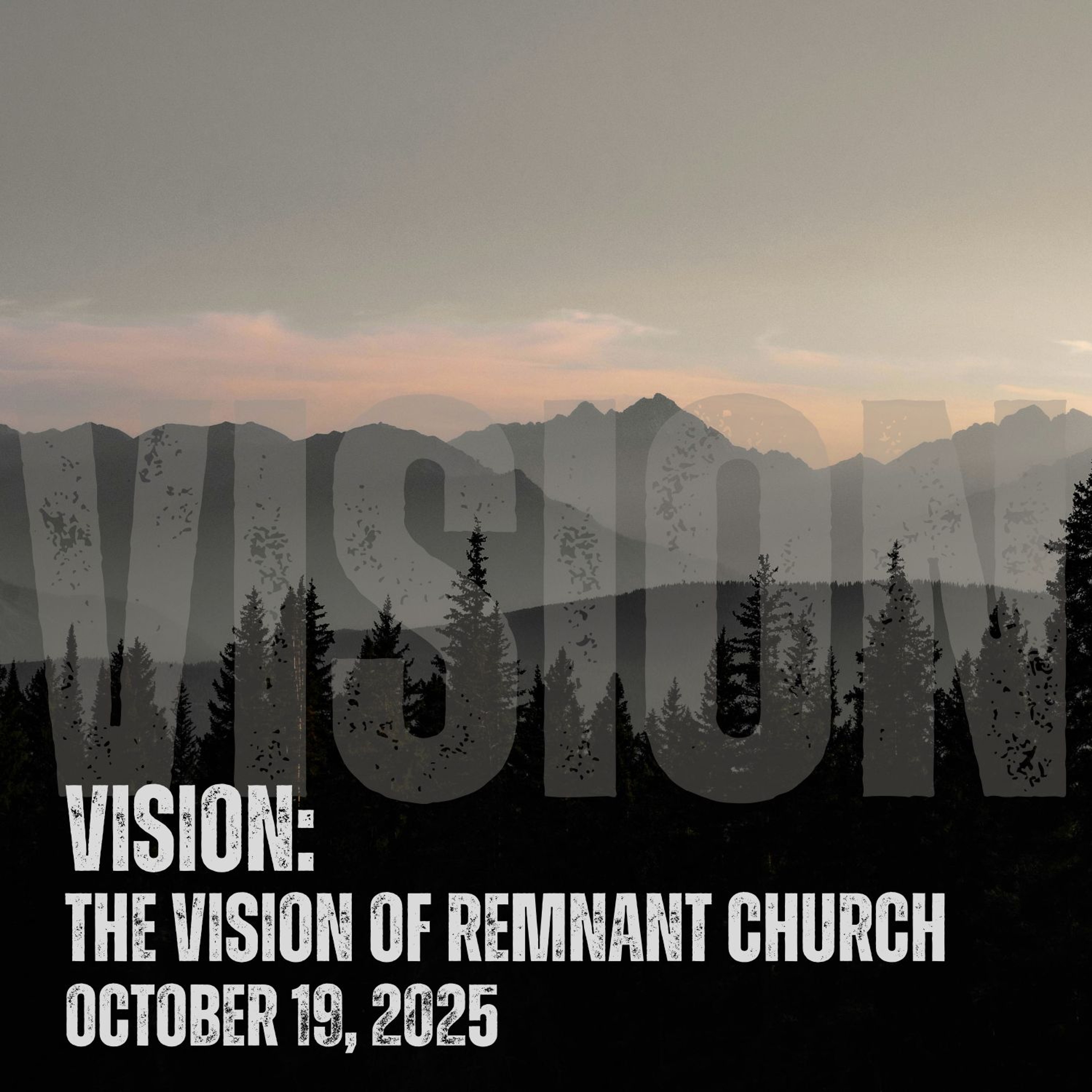 Vision: The Vision For Remnant Church (Part 8) episode artwork