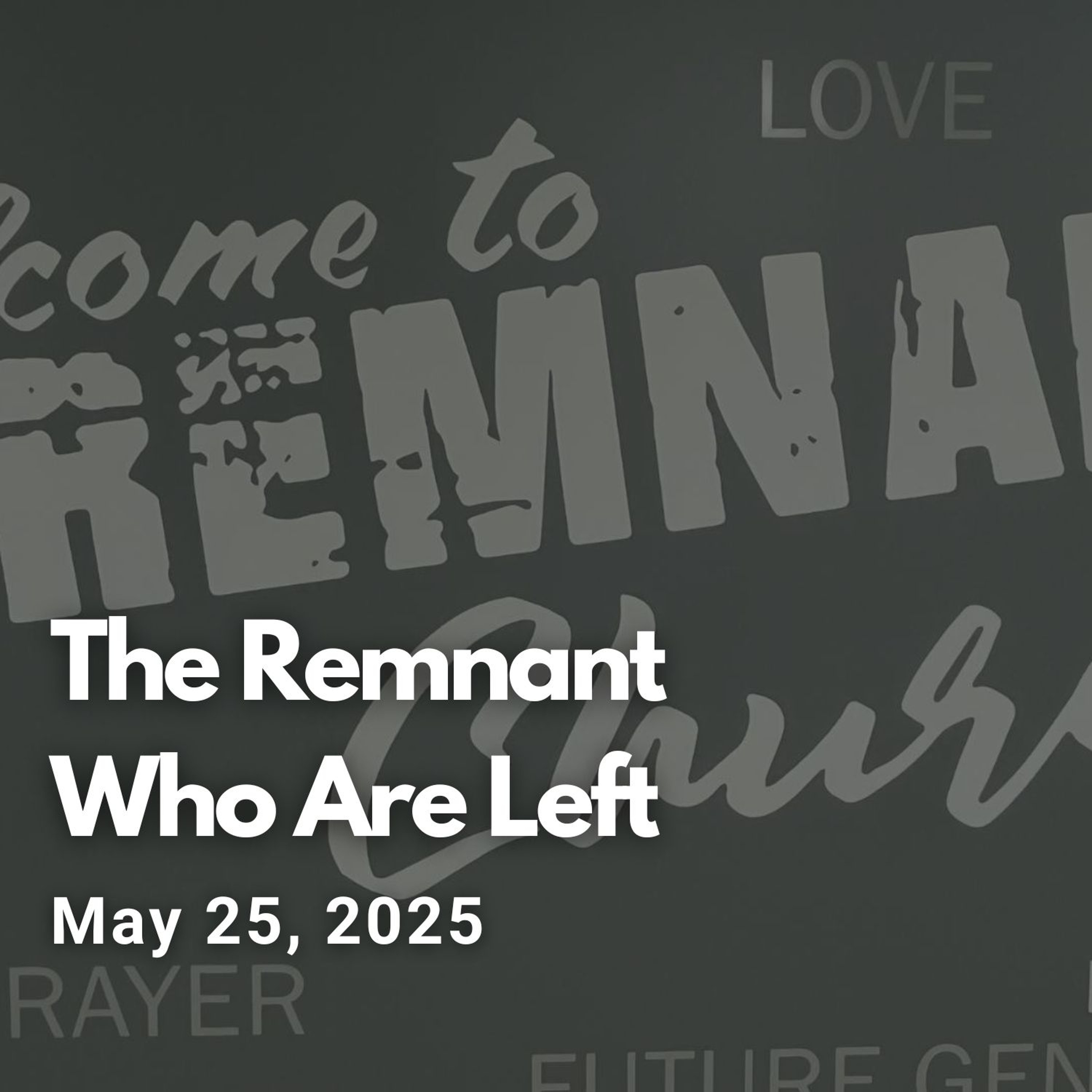 The Remnant Who Are Left episode artwork