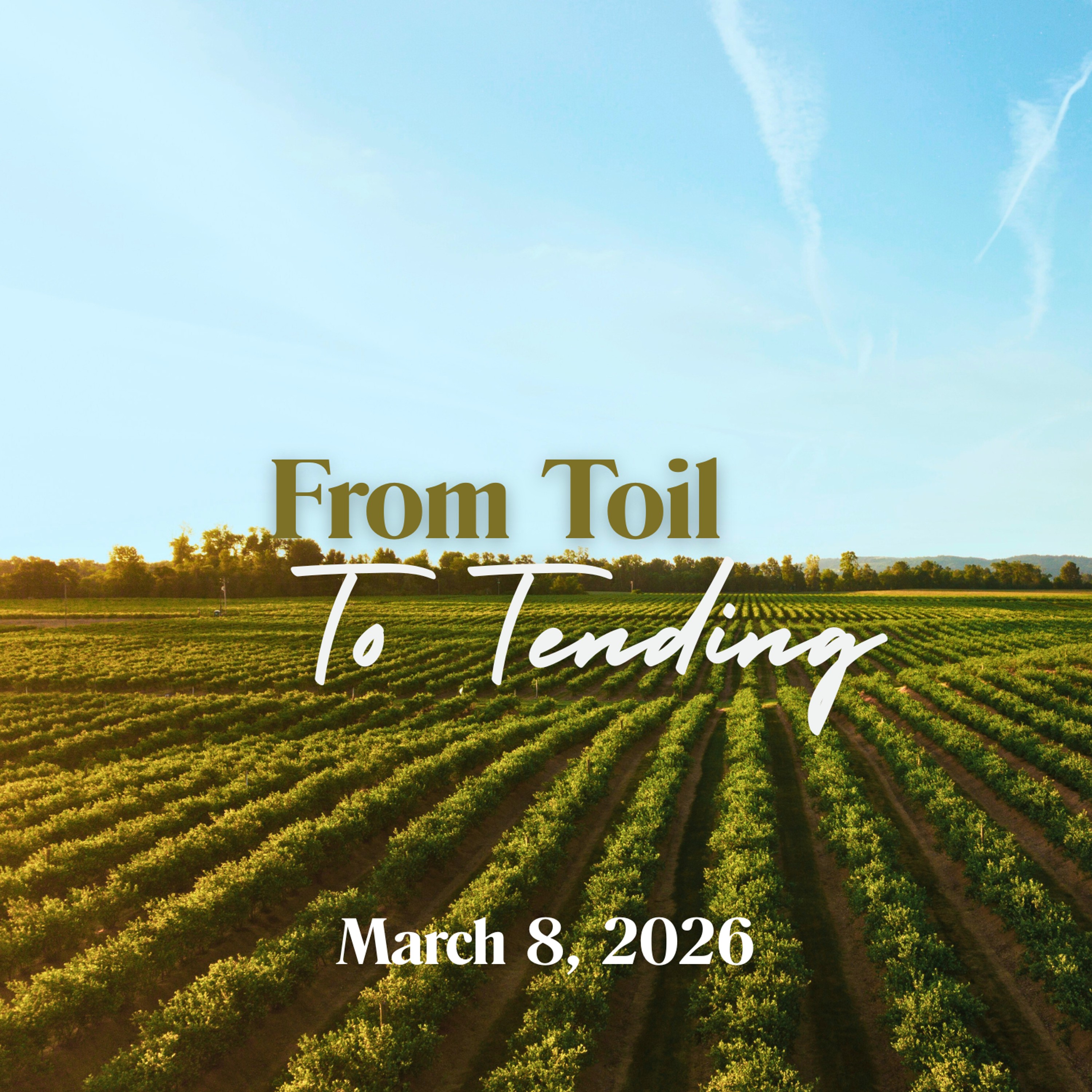From Toil to Tending episode artwork