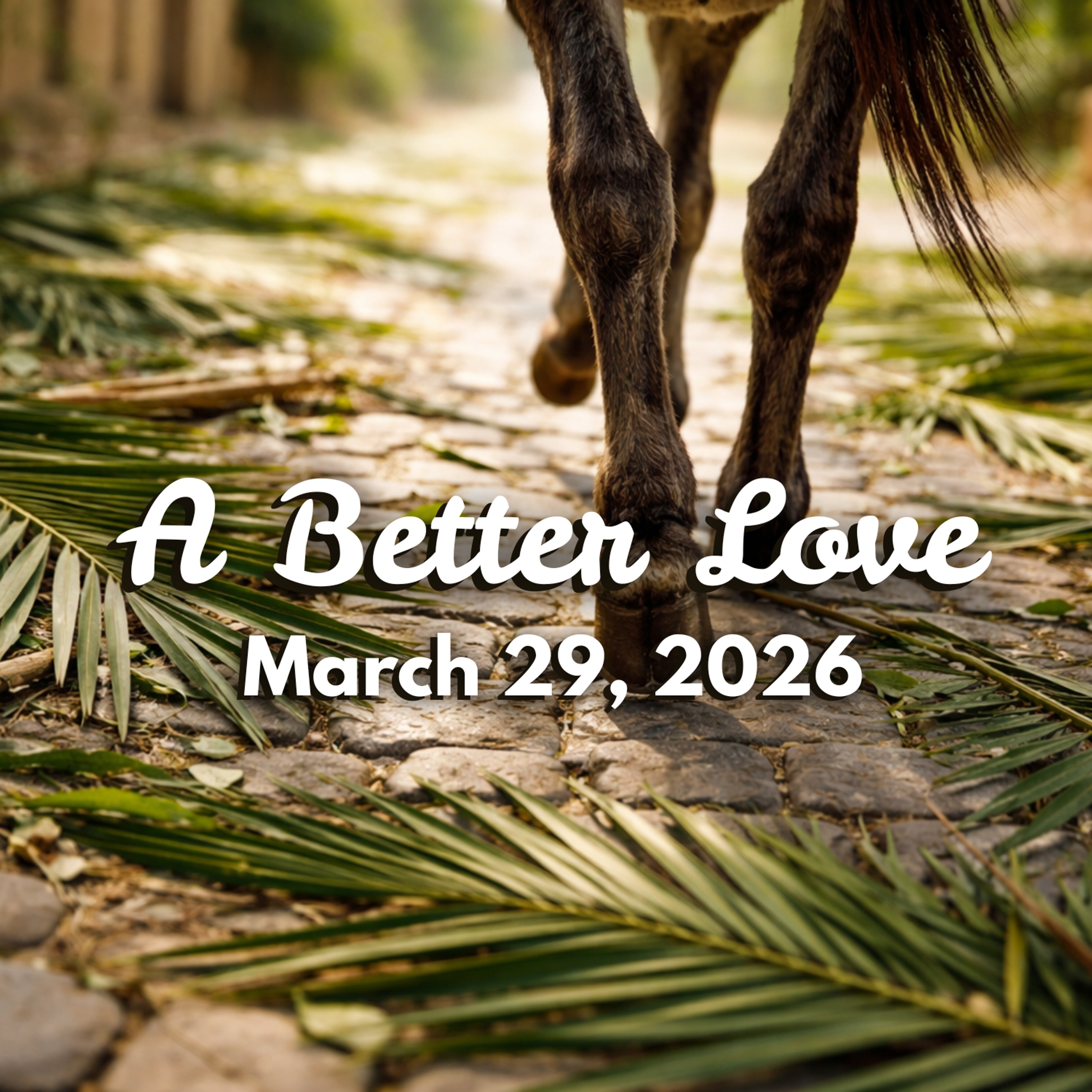 A Better Love episode artwork