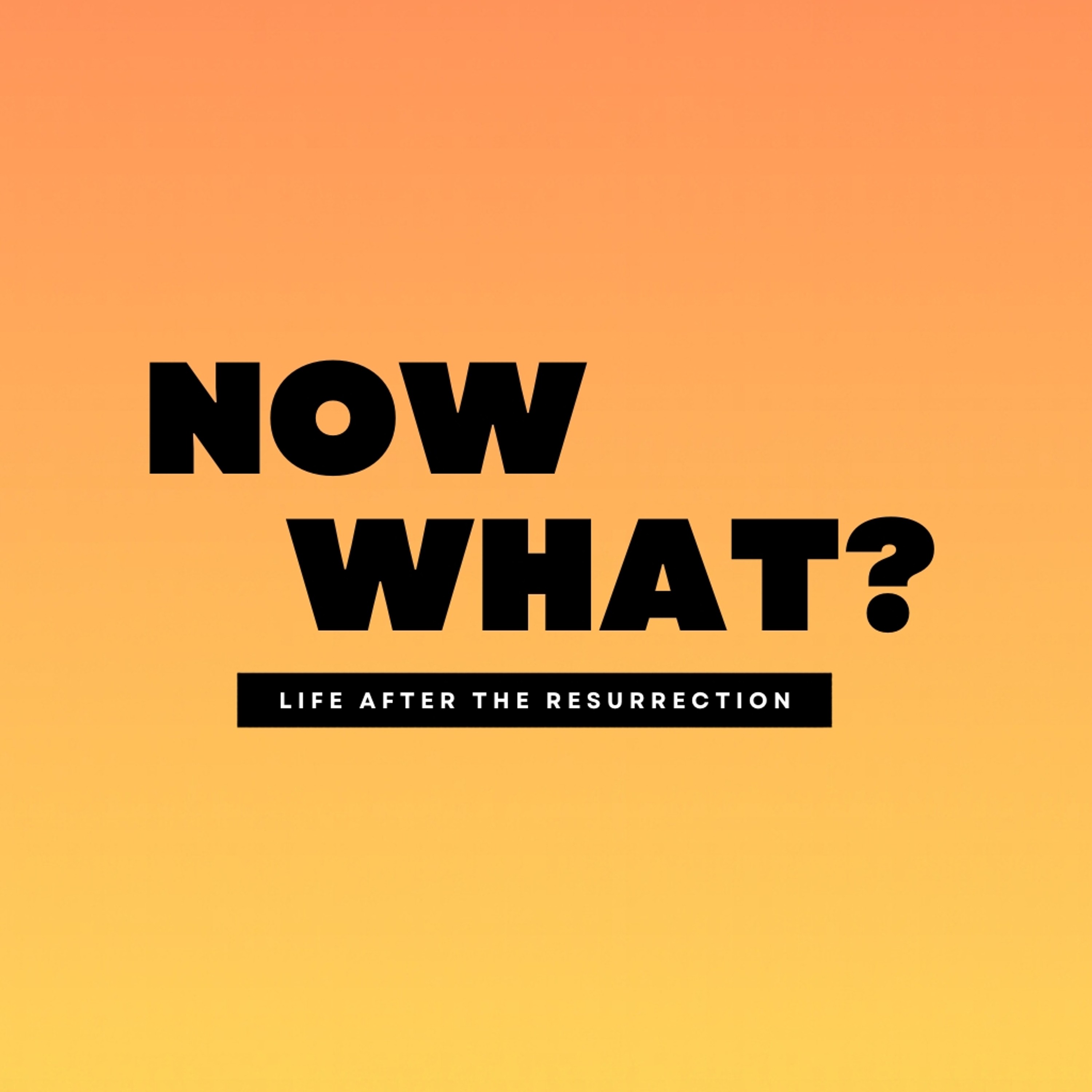 NOW WHAT? | I'm Not Going Back episode artwork
