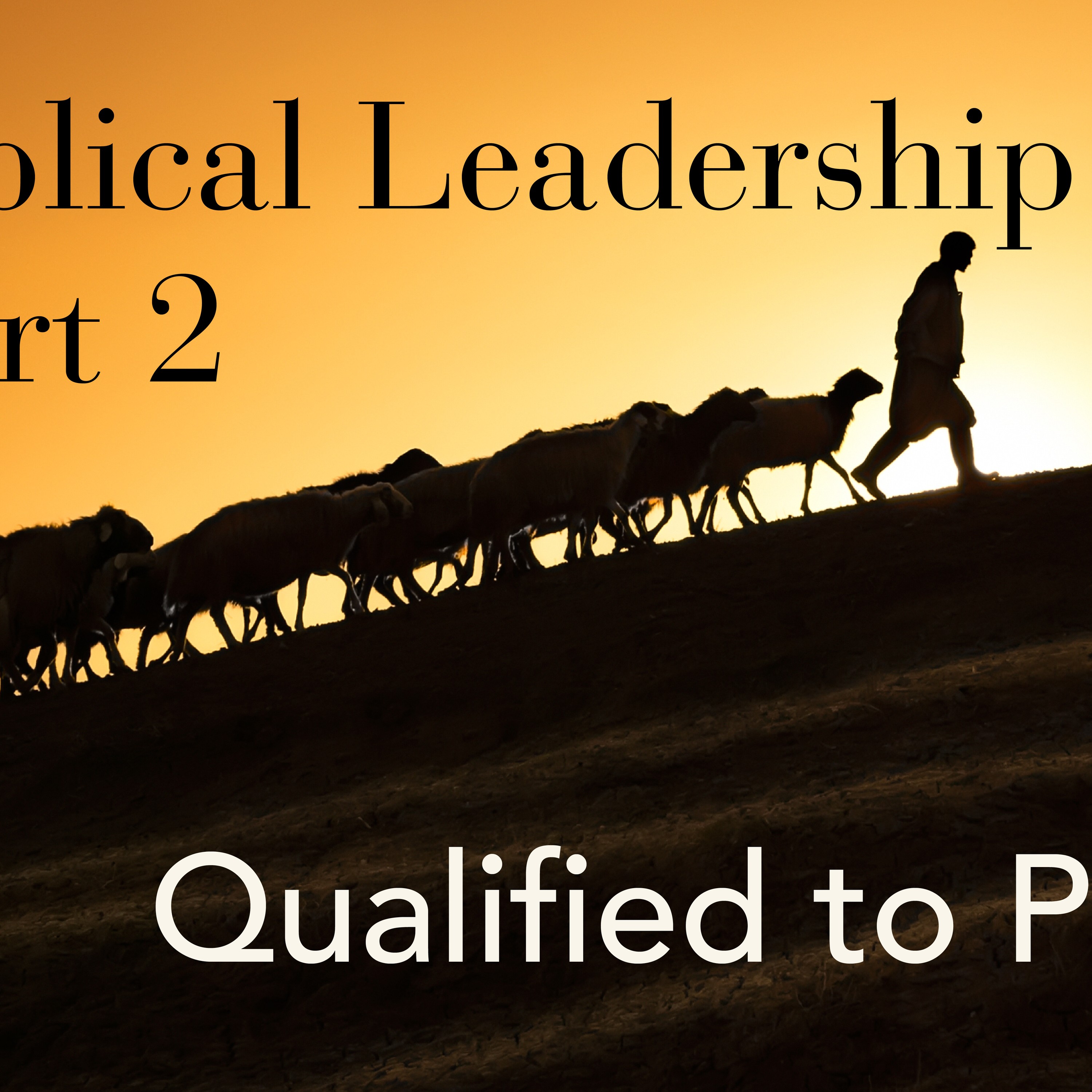 Qualified to Pastor episode artwork