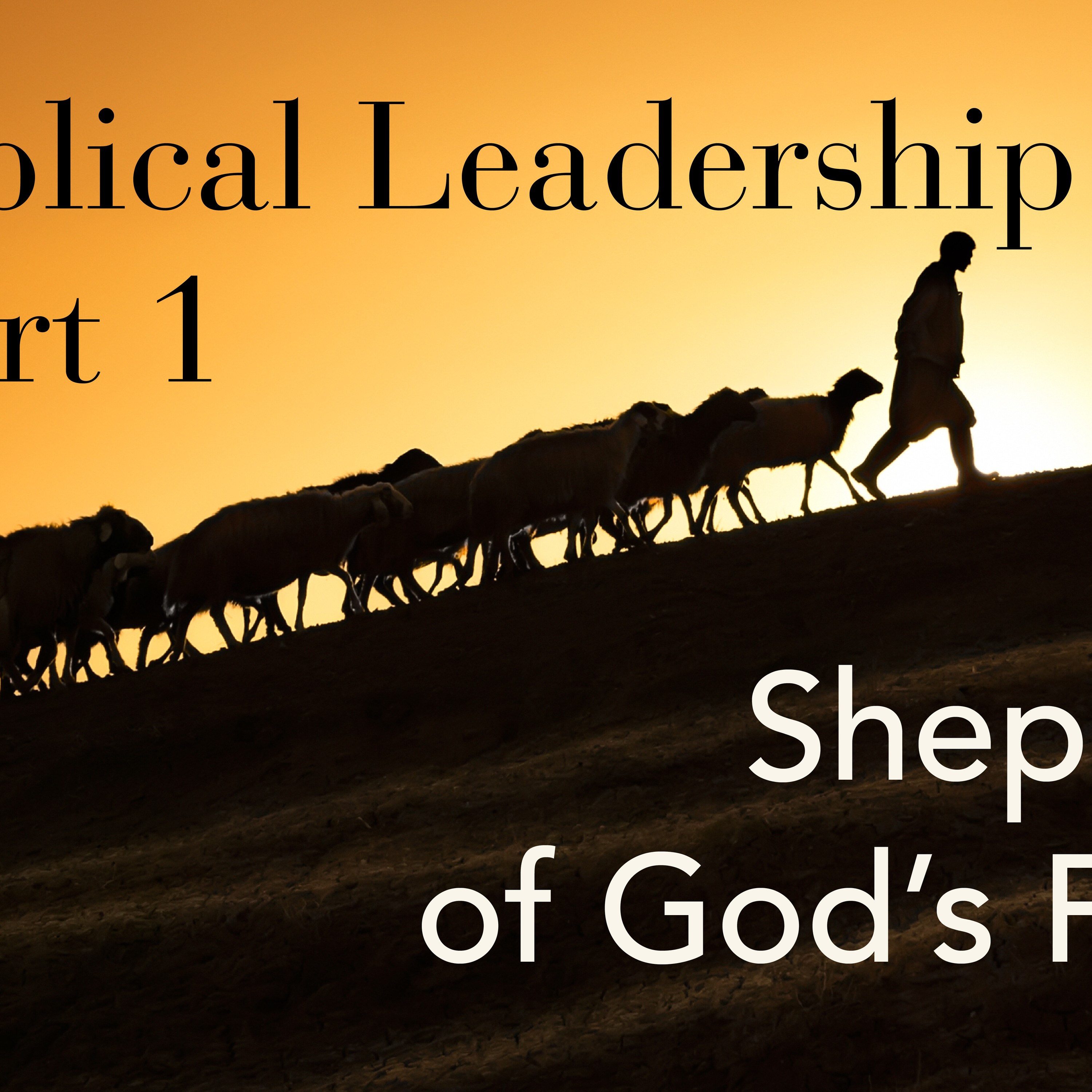 Shepherd of God's Flock episode artwork